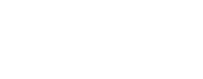 ELON Soluciones Inteligentes
